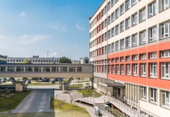 米兰体育APP-中国篮球青训教练员专业能力提升及培训体系建设，篮球青训师资格证好考么