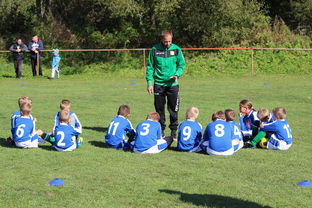 米兰体育app官方下载-中超赛事赛中战术调整频率,2021中超赛制详解 第1张 米兰体育app官方下载-中超赛事赛中战术调整频率,2021中超赛制详解 第1张