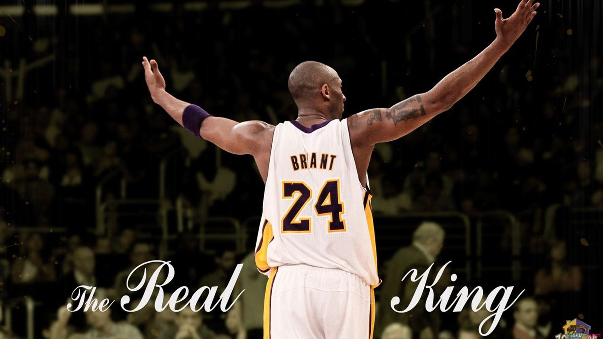 ac米兰中文官方网站-篮球专项技能标准化训练体系建立与实施研究,篮球专项素质训练方法 第5张 ac米兰中文官方网站-篮球专项技能标准化训练体系建立与实施研究,篮球专项素质训练方法 第5张