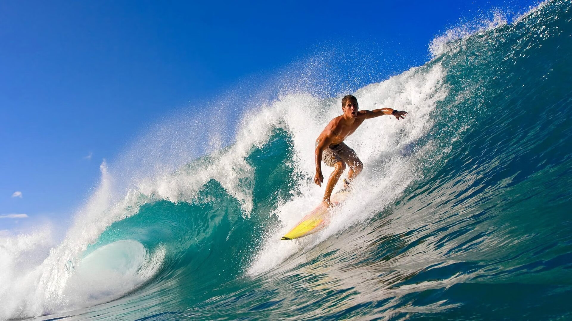 体育赛事热点盘点